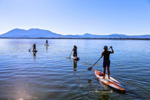 Paddle boarders