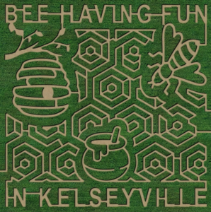 2021 Corn Maze - Bee Having Fun