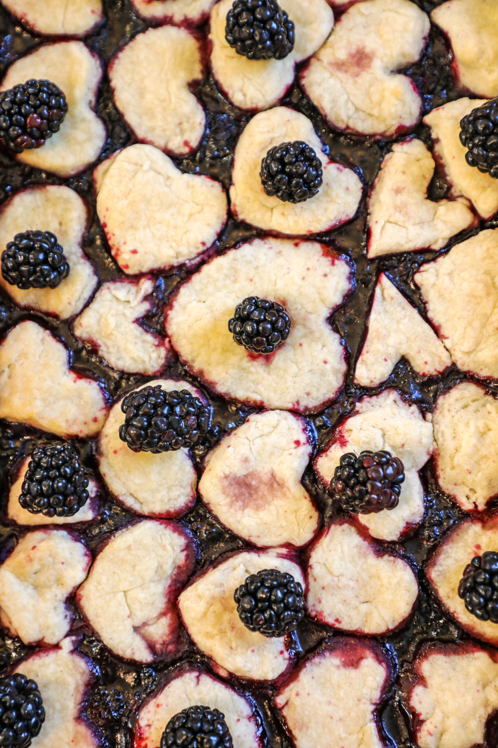 Blackberry Cobbler Festival cookies