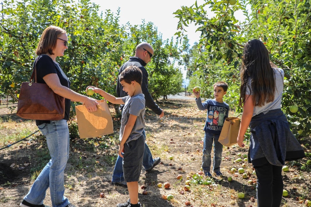 Start as Visitors, Leave as Friends The Big Valley, Small Farms Tour