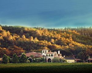 Brassfield Estate Winery & Vineyards