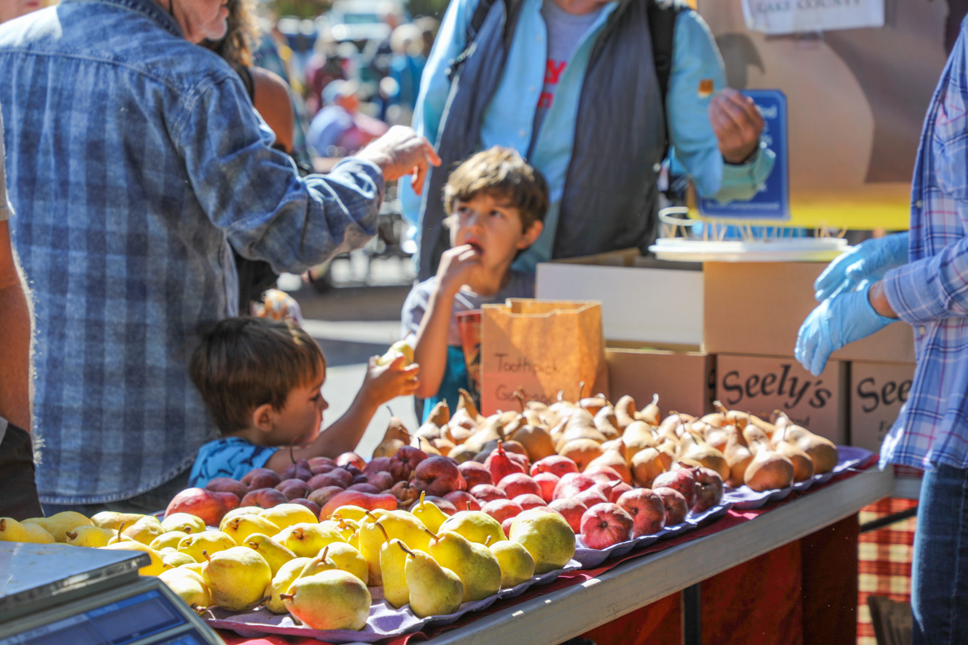 2022 Kelseyville Pear Festival Lake County