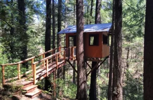 Sanctuary Treehouse at Pine Grove