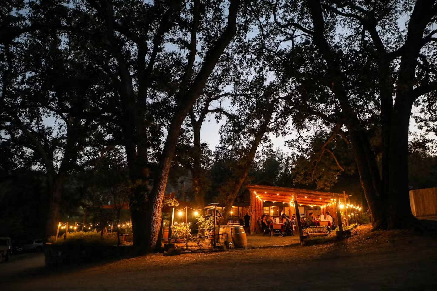Dining under a gazebo