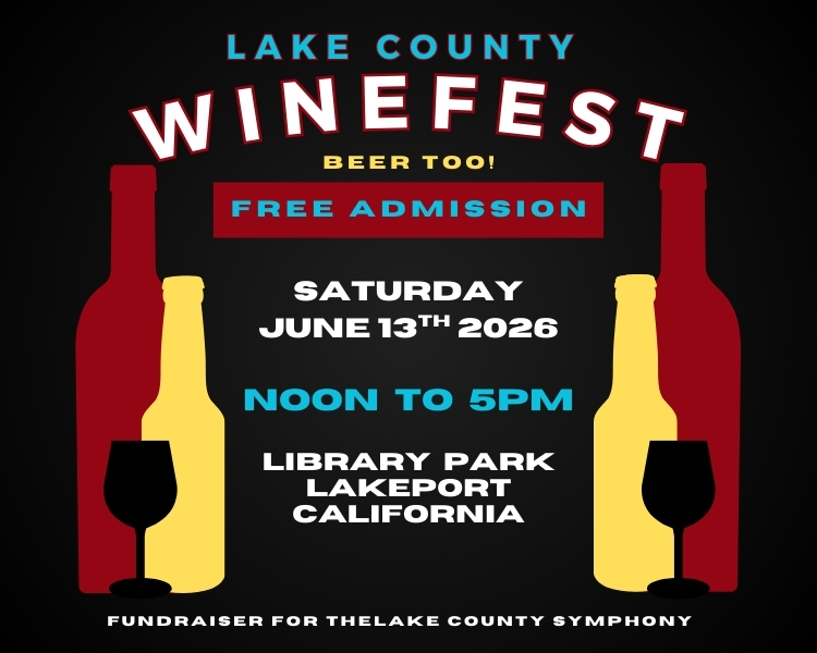 Winefest Poster